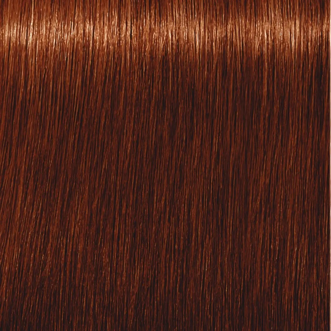 Indola Profession Permanent Caring Color 6.6+ Zwart 60ml