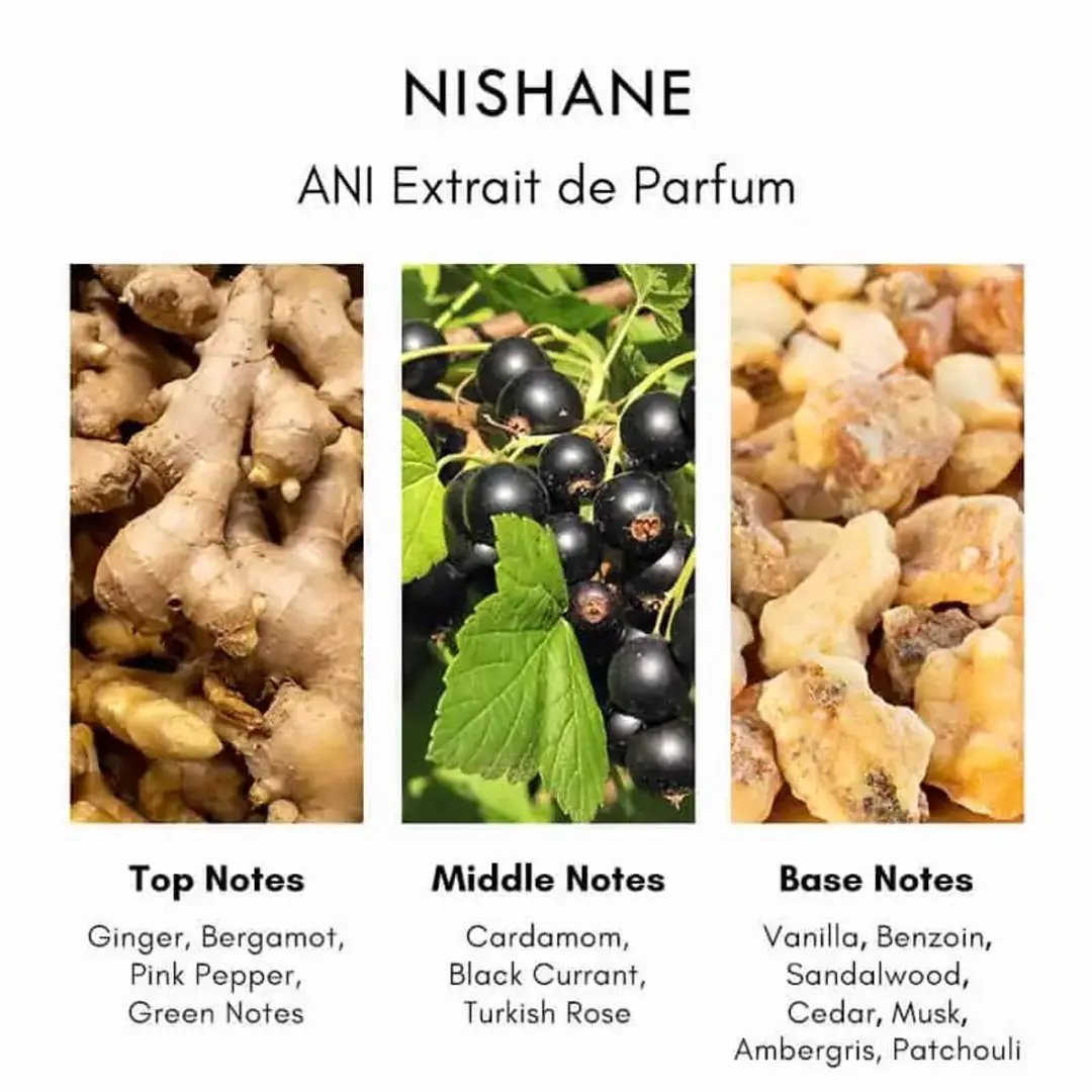 Nishane Ani Extrait de Parfum 50ml