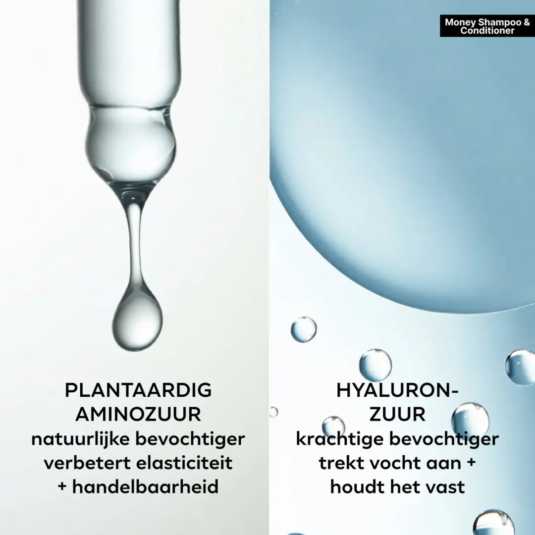 Color Wow Money Laundering Trio - 600ml (2x250ml Shampoo/Conditioner + 2x50ml Volumizer/Mist)