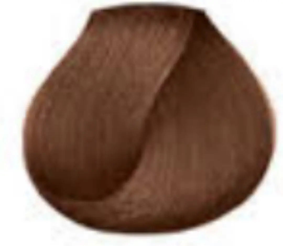L'Oréal Professionnel Dia Richesse Haarverf 501ml - Kleur 5.42