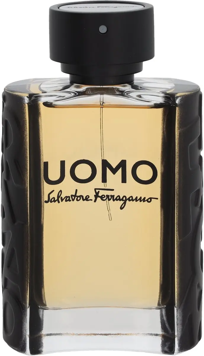 Salvatore Ferragamo Uomo Herenparfum Eau de Toilette 100ml