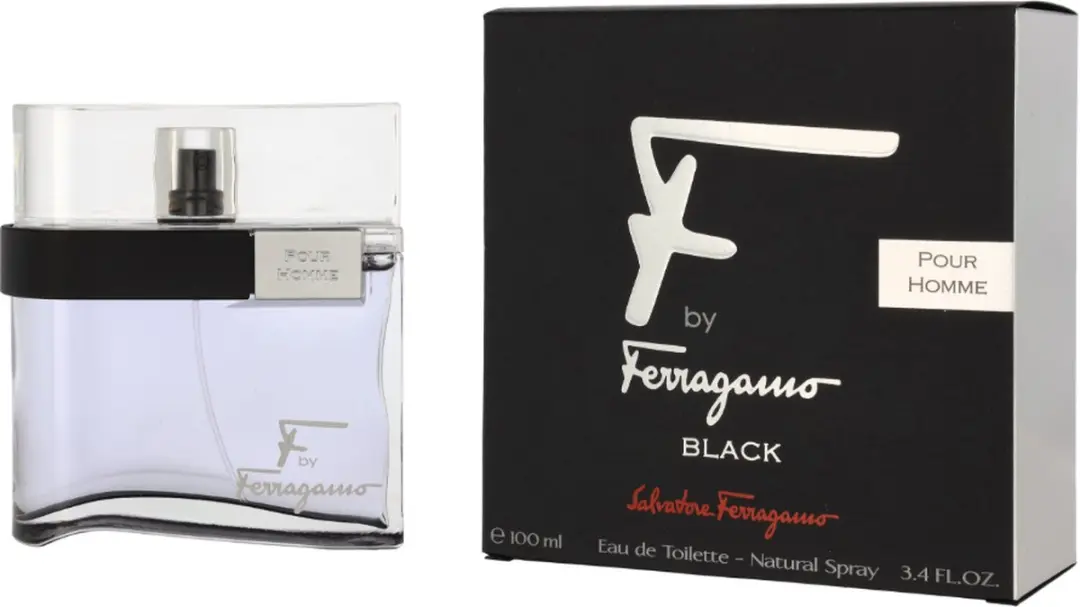 Salvatore Ferragamo F Black Pour Homme Eau de Toilette 100ml
