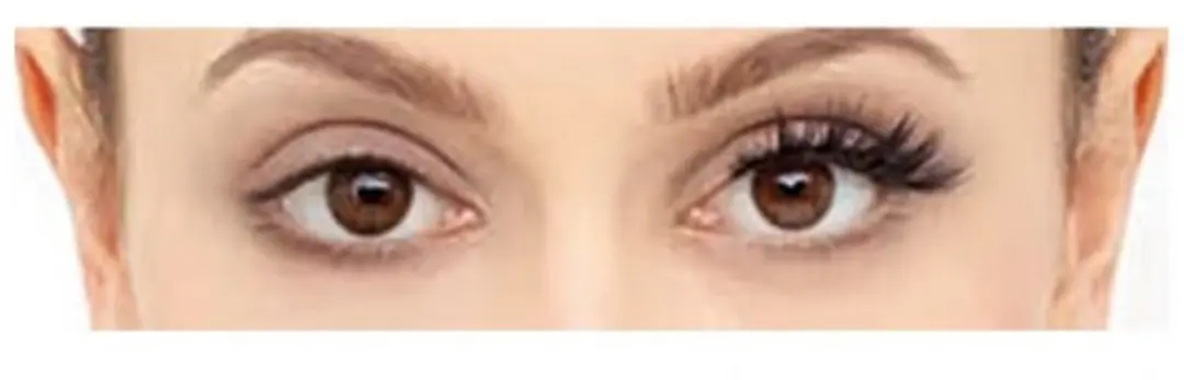 Eylure London Wimpers Eco Lash & Stash Take me Out - 2 Stuks