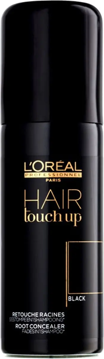L'Oréal Paris Hair Touch Up Black