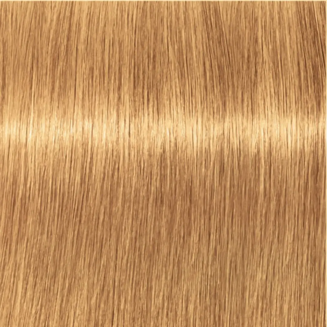 Indola Profession Permanent 8.3 Licht Blond Goud - 3x60ml