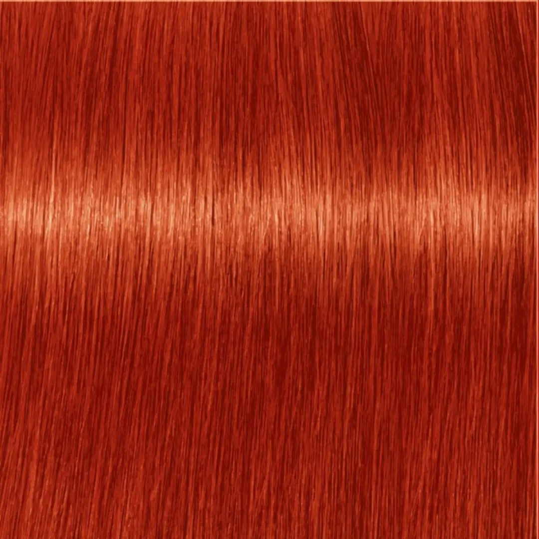 Indola Profession Permanent Caring Color Licht Blond Extra Koper 60ml - 3 Stuks