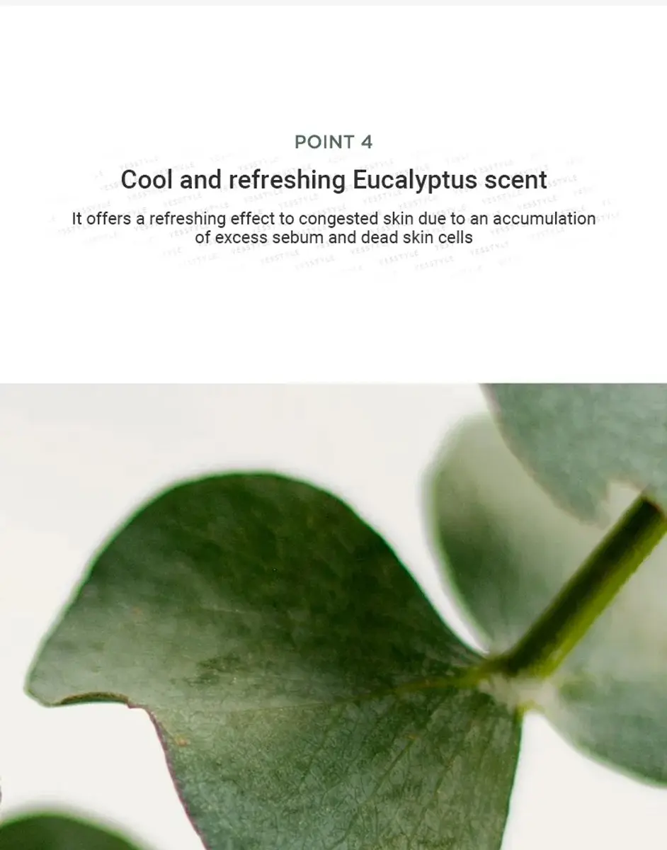Anua Heartleaf Quercetinol Pore Deep Cleansing Foam 150ml