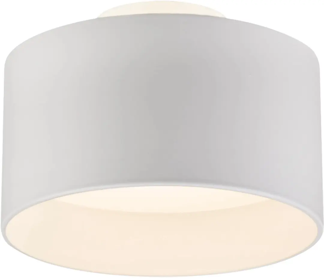 Globo Jenny Plafondlamp