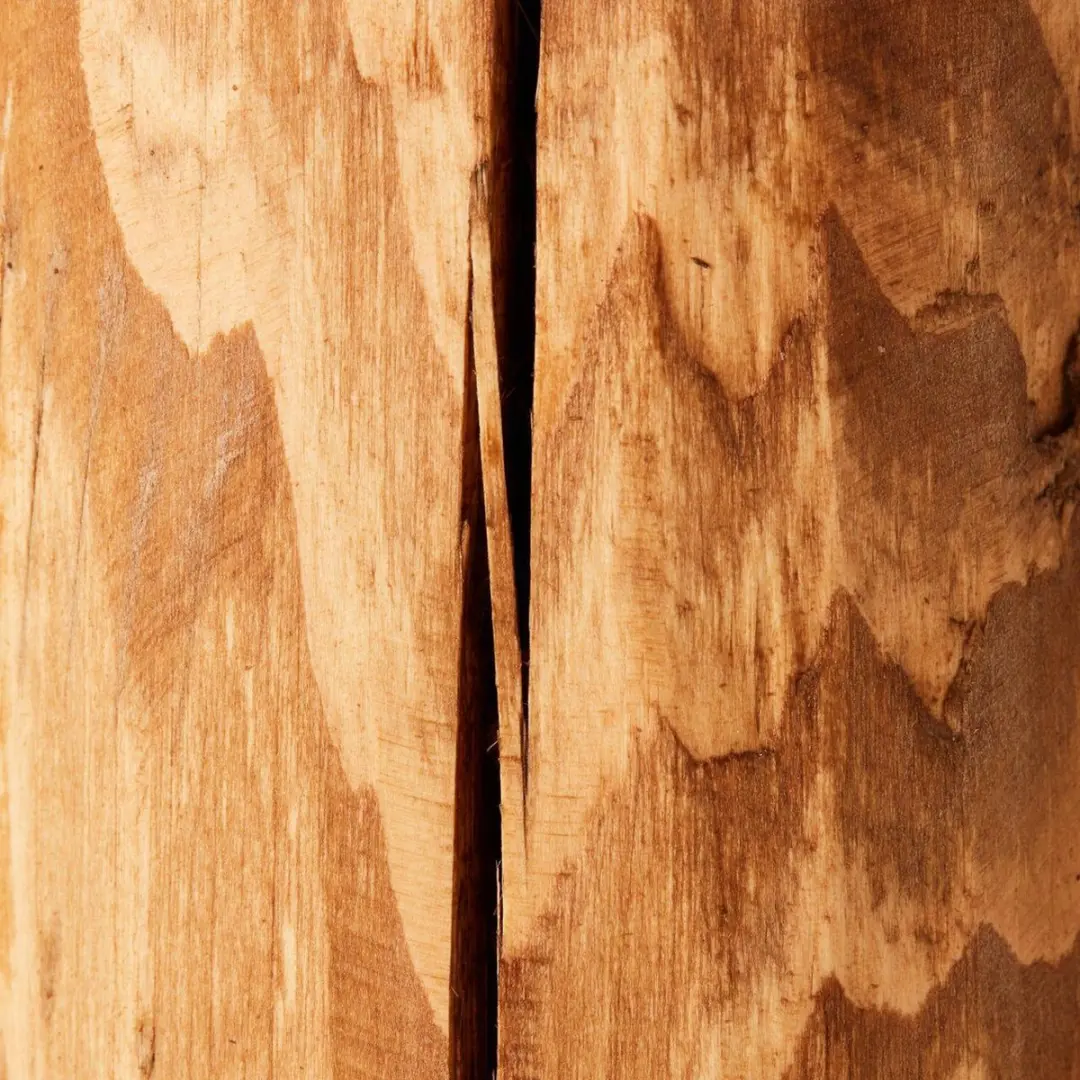 Brilliant Trabo Tafellamp - Hout Ø10cm