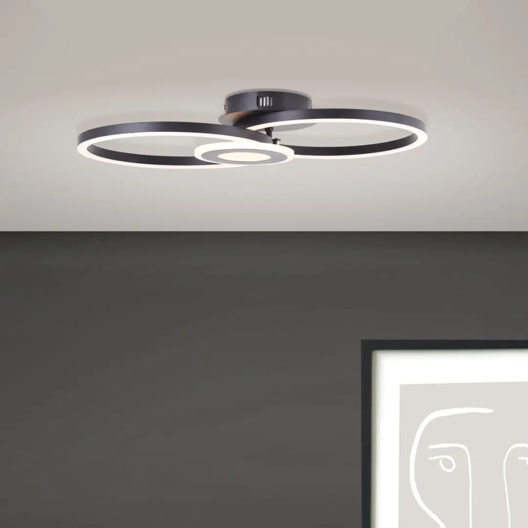 Brilliant Bray LED Plafondlamp 24W - 3000K Zwart - afbeelding 6 van 6