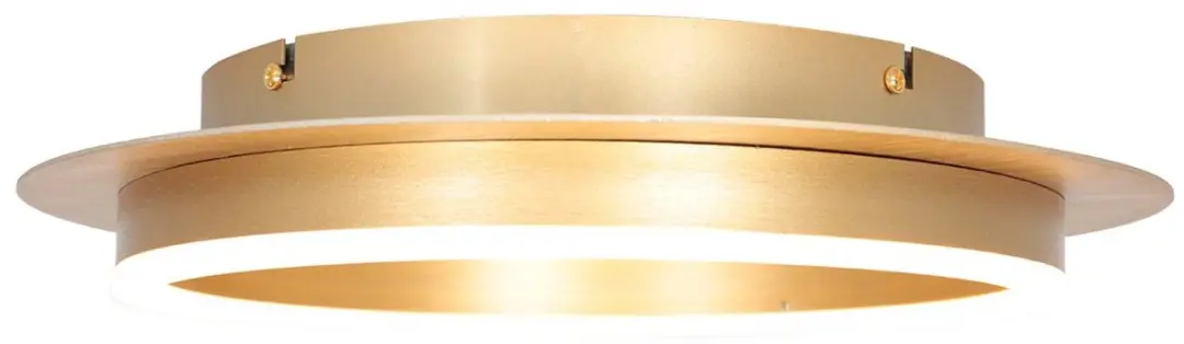 Steinhauer Ringlux 3655GO Plafondlamp