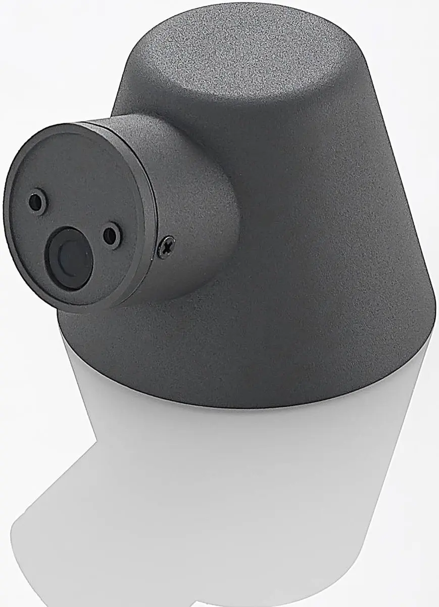 Lindby Wandlamp Buiten 1 Licht GU10 Antraciet