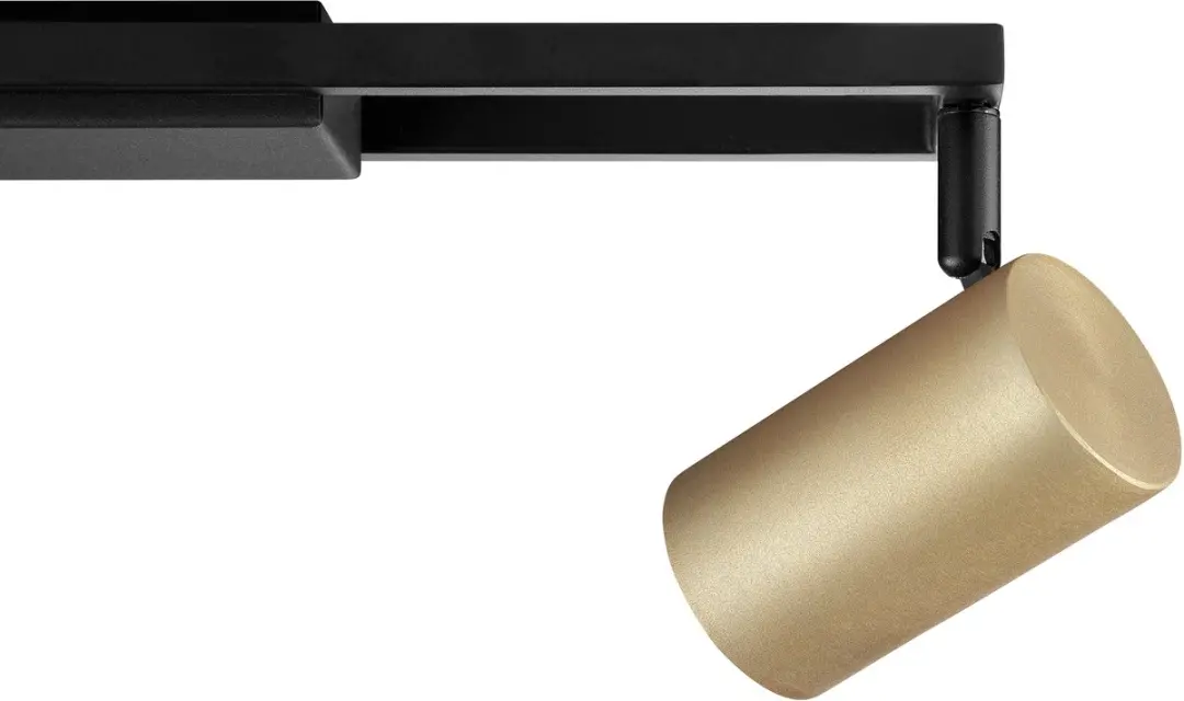 Brilliant Salor Plafondlamp GU10 2x5W - 350lm - 3000K - Dimbaar - Zwart/Goud