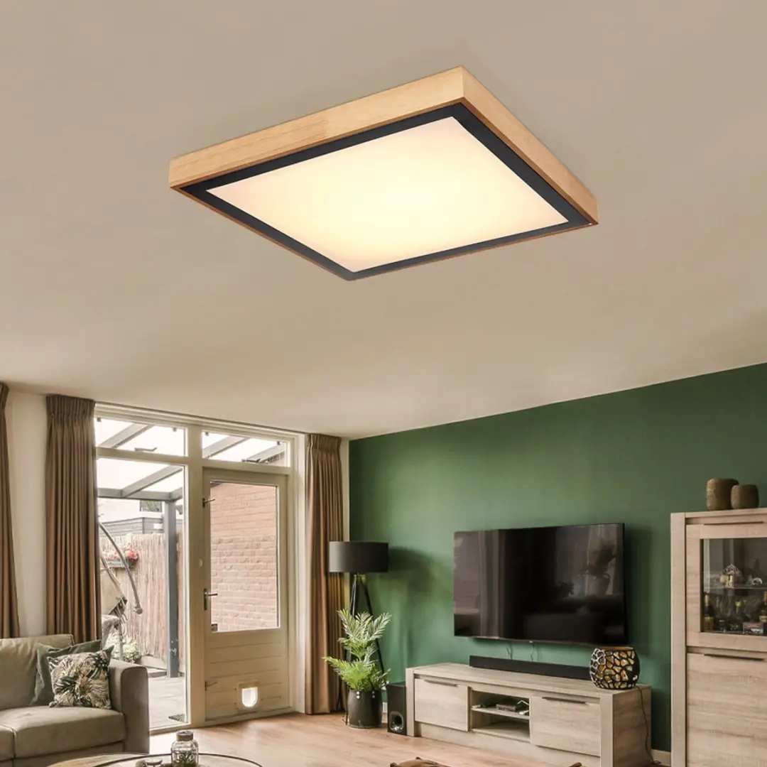 Globo Plafondlamp Landelijke Stijl 24W 1020Lm