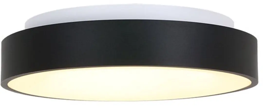 Steinhauer Plafondlamp Ringlede 3086ZW - Ø30cm - Zwart