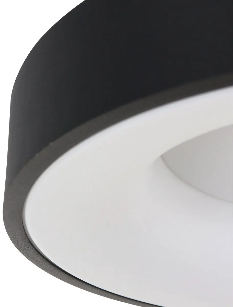 Steinhauer Plafondlamp Ringlede 3086ZW - Ø30cm - Zwart