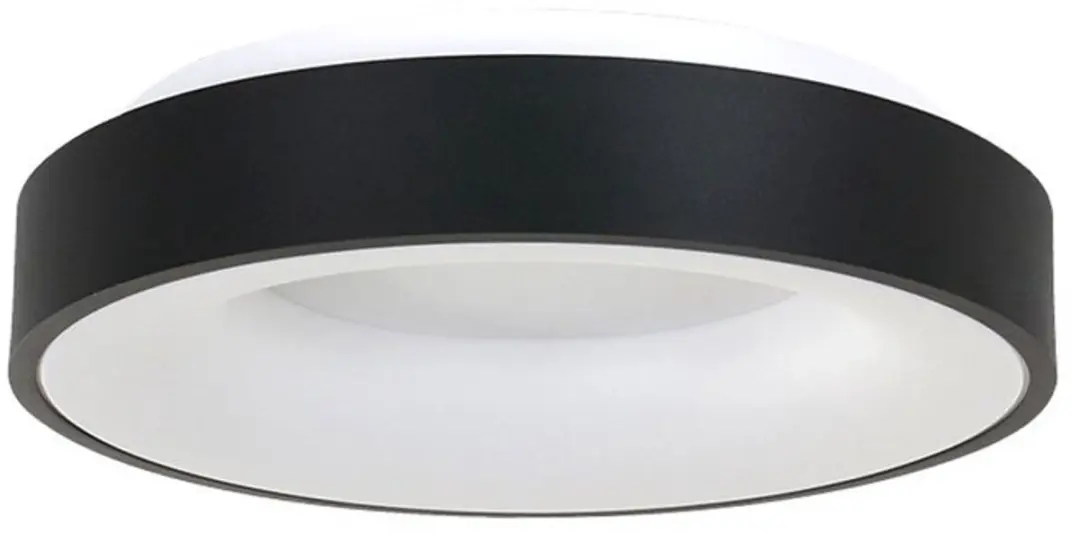 Steinhauer Plafondlamp Ringlede 3086ZW