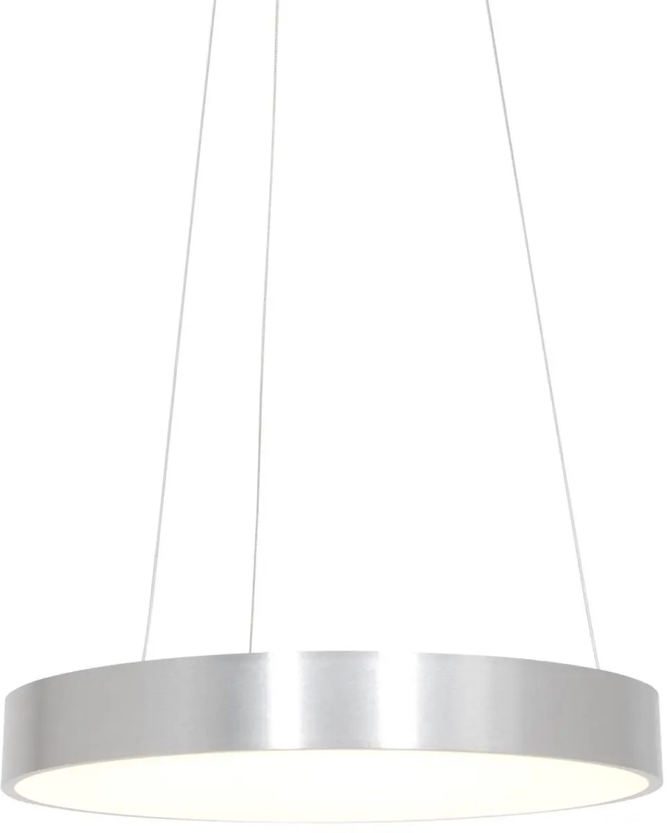 Steinhauer Hanglamp Ringlede 2695ZI - Zilver - Ø48cm