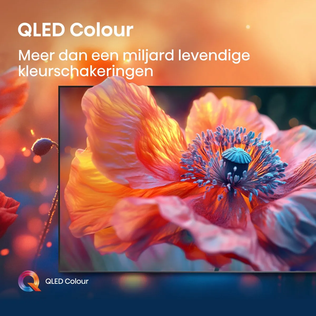 Hisense 55E7Q 55 inch QLED TV - 4K