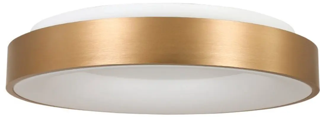Steinhauer Ringlede 2562GO Plafonnier