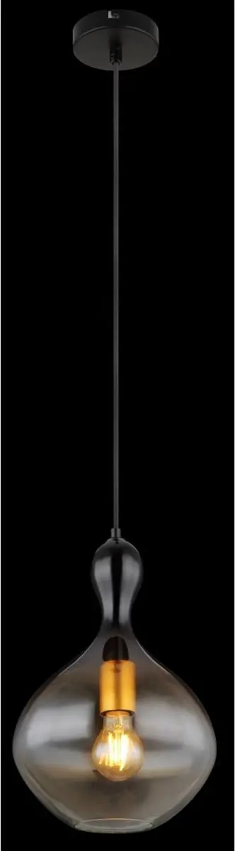Globo Aladdin Hanglamp - Ø23cm - Zwart