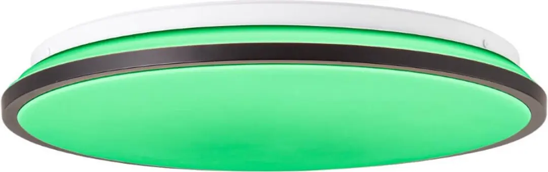 Brilliant Heida RGB Plafondlamp Ø39,5cm - Zwart