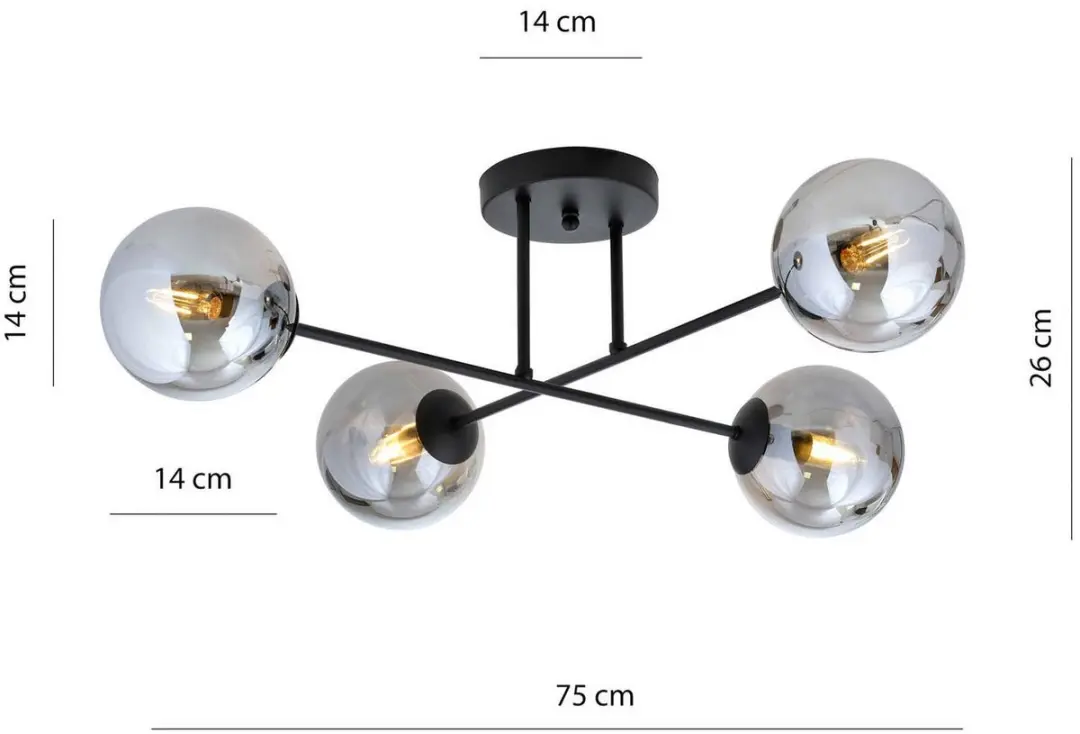 Euluna Plafondlamp 4-Lichts - Staal/Glas - Zwart Grafiet