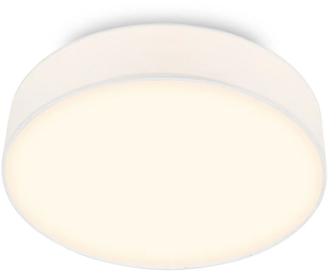 Briloner Duck LED Plafondlamp 24W Ø38cm