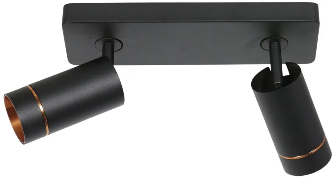 Steinhauer Downlume 4861ZW Spot Downlume - 2x GU10 40W - Zwart