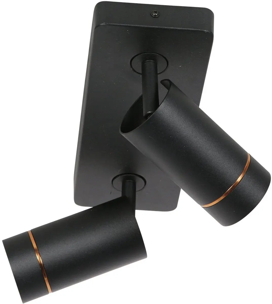Steinhauer Downlume 4861ZW Spot Downlume - 2x GU10 40W - Zwart