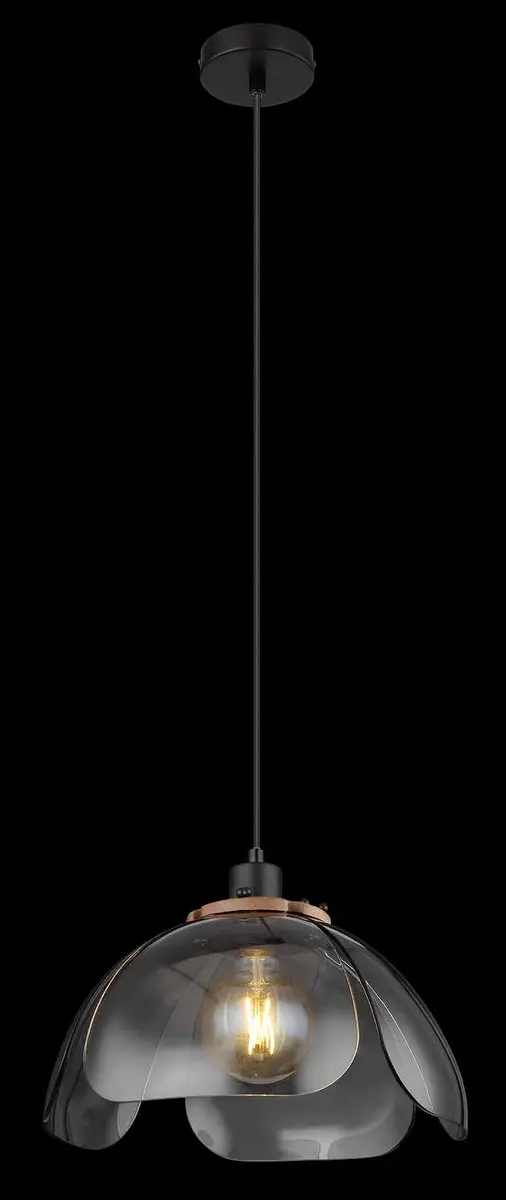 Globo Dawar Hanglamp - Ø34cm - Zwart