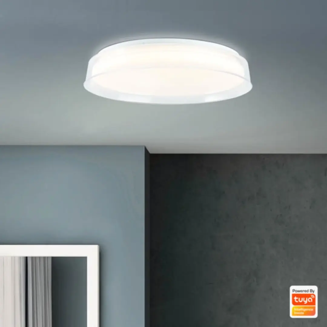 Brilliant Loneos LED Plafondlamp 24W