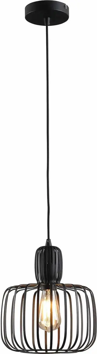 Freelight Costola Hanglamp Ø25cm - Zwart