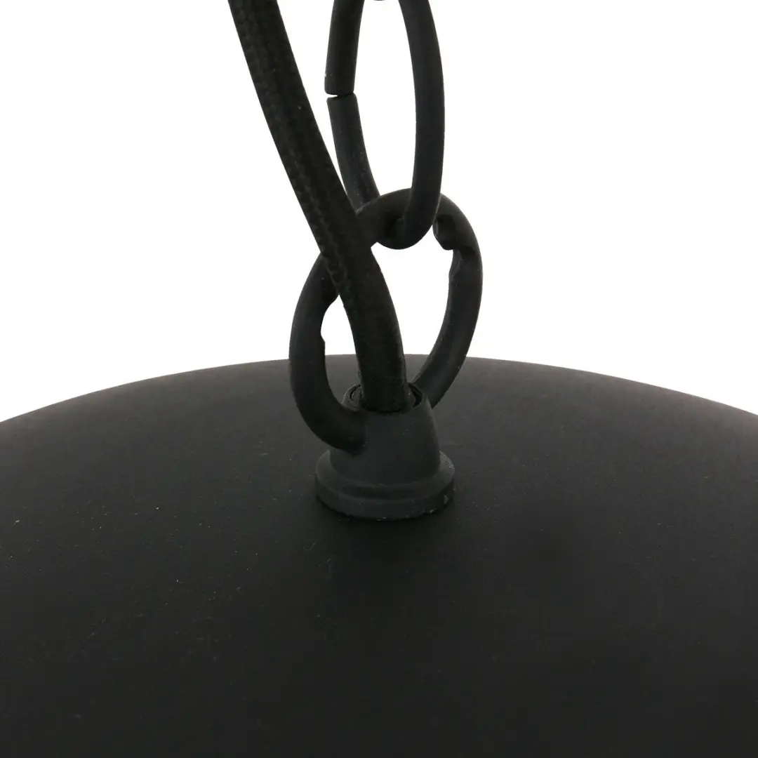Steinhauer Semicirkel 2556ZW Hanglamp - 2 Lichtpunten Zwart/Goud