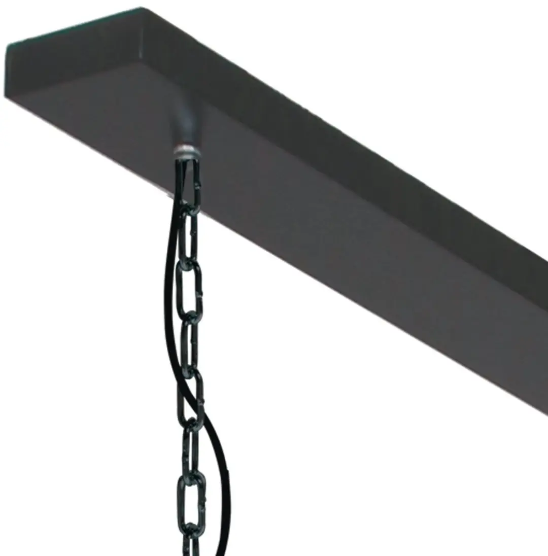 Steinhauer Semicirkel 2556ZW Hanglamp - 2 Lichtpunten Zwart/Goud