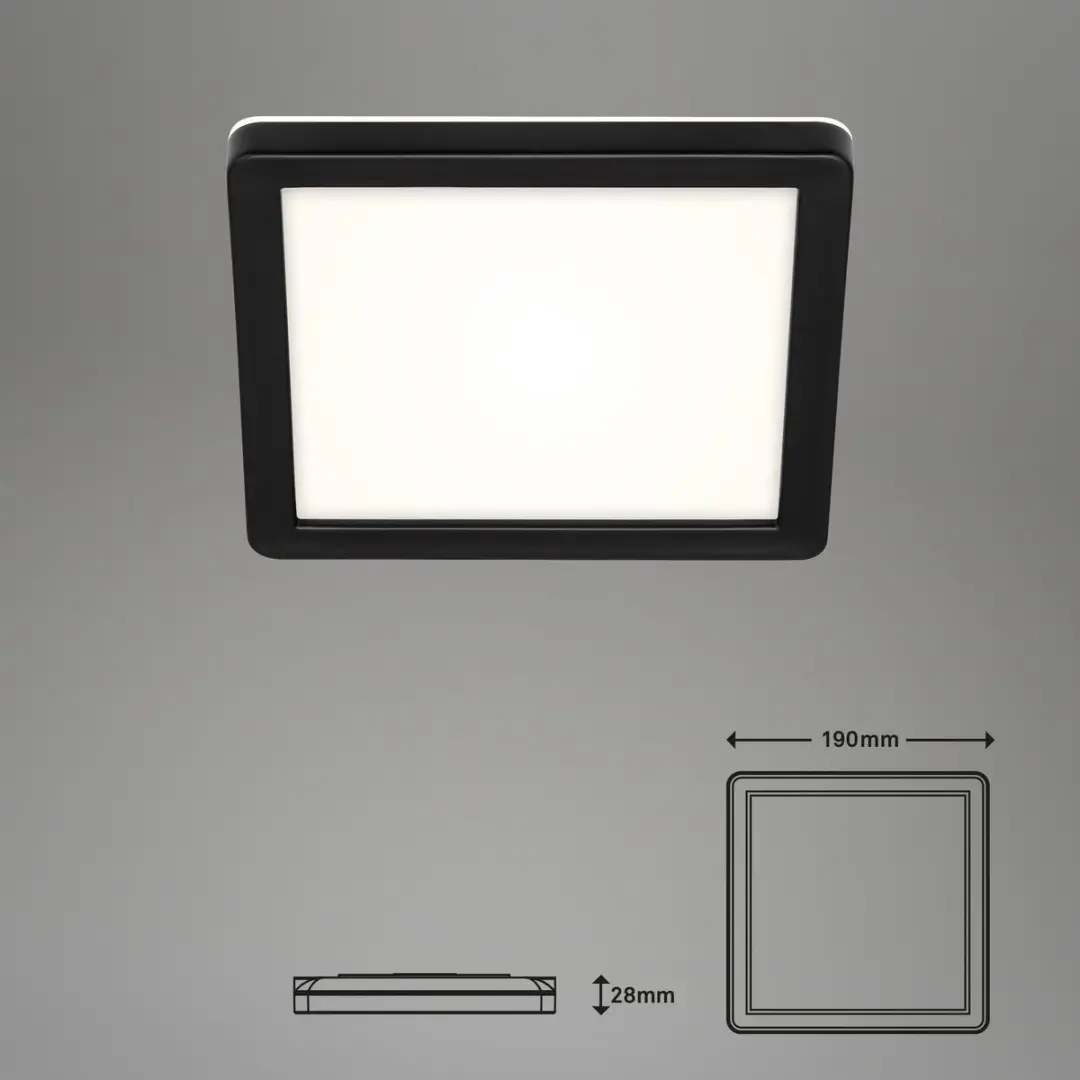 Briloner Buitenwandlamp - 1 Lichtpunt - Wit Licht 4000K - Zwart