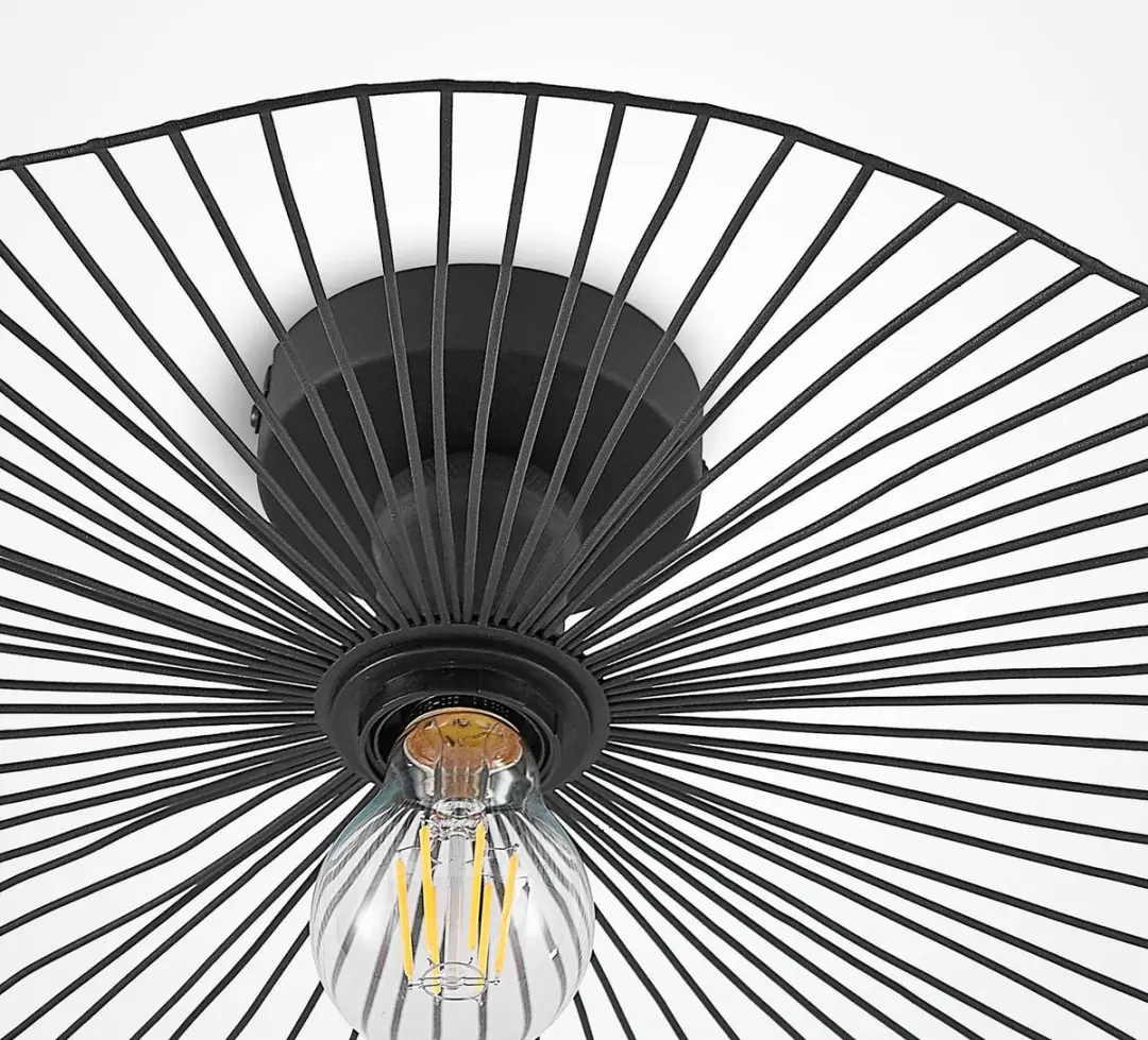 Lindby Plafondlamp 1 Licht E27 - Ø40cm - Mat Zwart