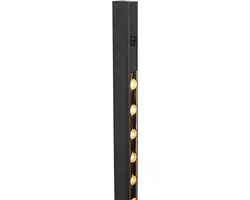 Steinhauer Luzhaz 4133ZW Vloerlamp - Zwart - 24W