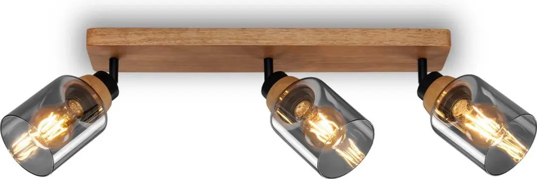 Briloner Plafondlamp 2486035 - Zwenkbaar - Rookglas - Zwart