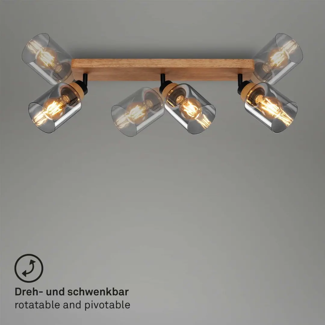 Briloner Plafondlamp 2486035 - Zwenkbaar - Rookglas - Zwart