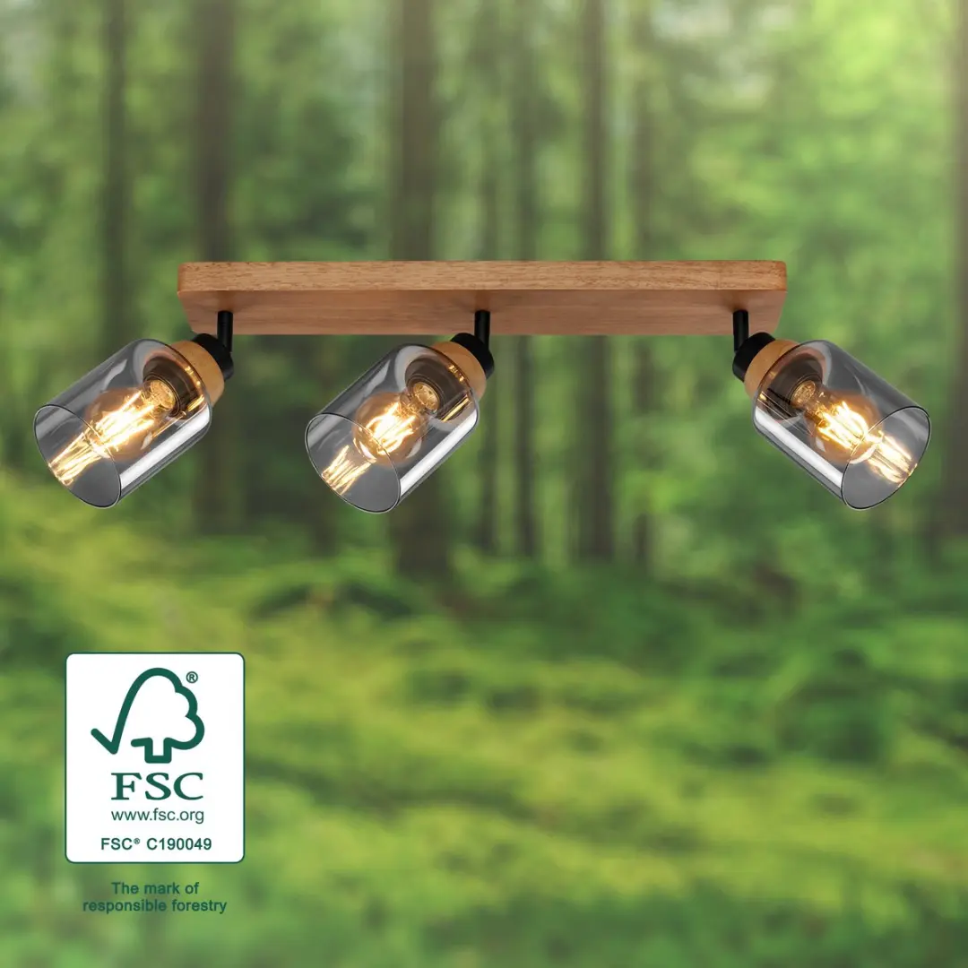 Briloner Plafondlamp 2486035 - Zwenkbaar - Rookglas - Zwart