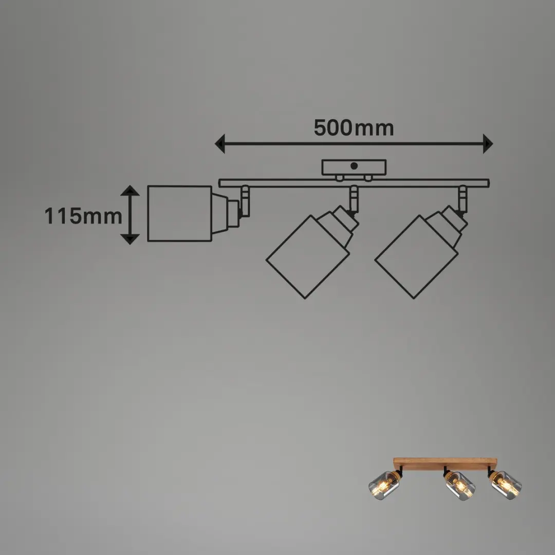 Briloner Plafondlamp 2486035 - Zwenkbaar - Rookglas - Zwart