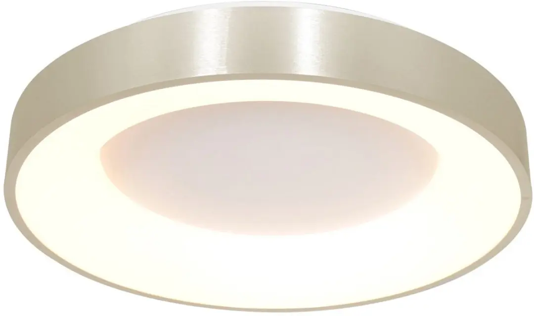 Steinhauer Plafonnier Ringlede 2562ZI