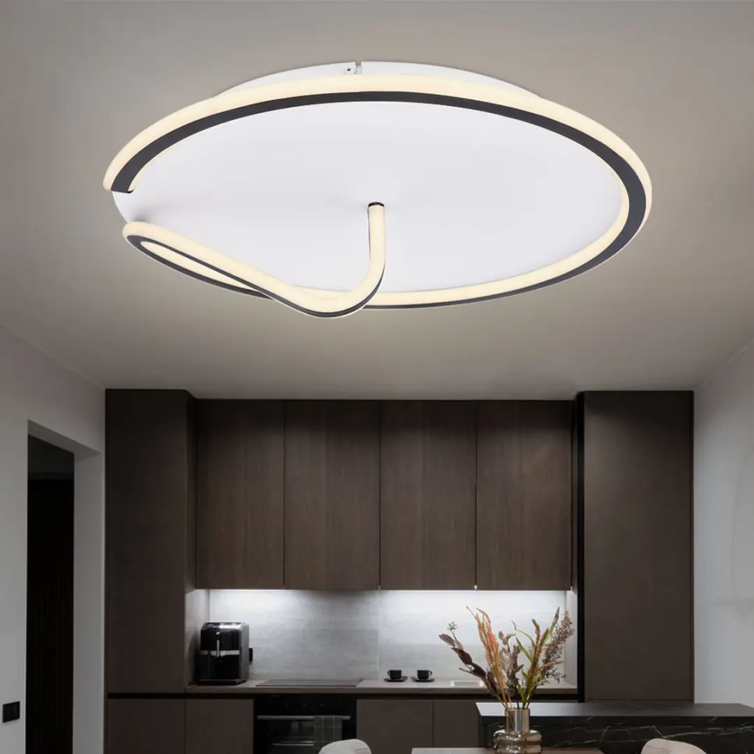 Globo LED Plafondlamp 50W 2400lm - Zwart - Dimbare CCT