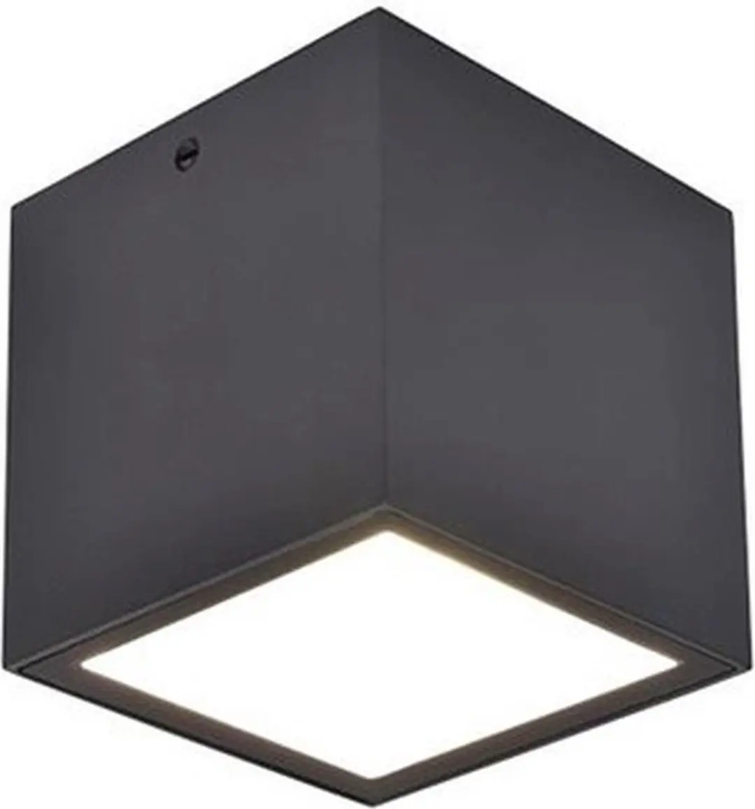 Lutec Gemini Plafondlamp LED 6.9W