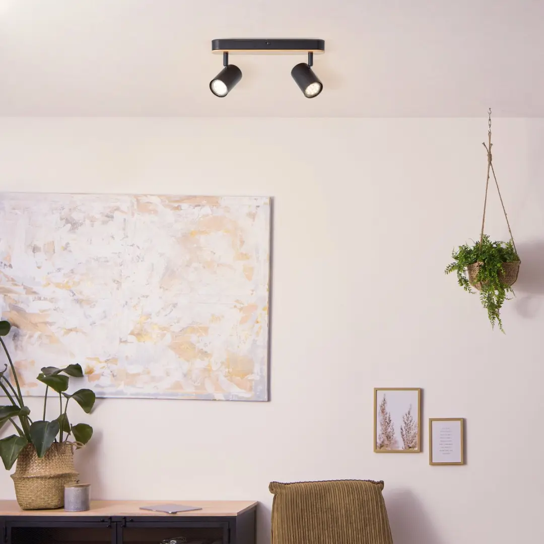 Brilliant Niels Plafondlamp - 2x GU10 10W - Zwart
