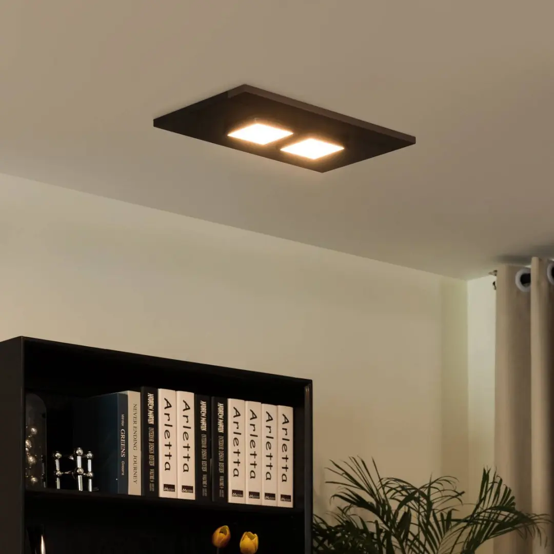 Lucande Plafondlamp 2 Lichtpunten 6W