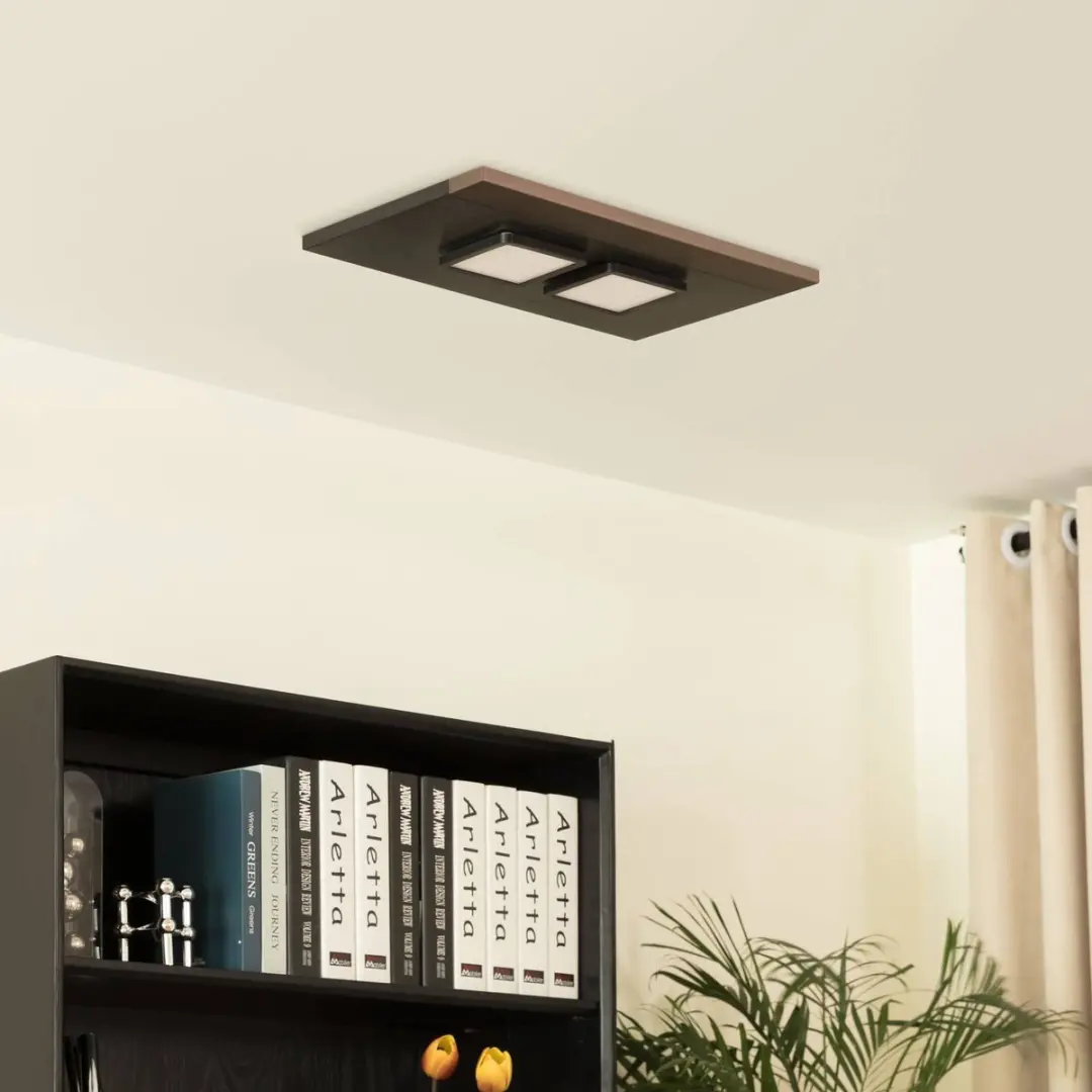 Lucande Plafondlamp 2 Lichtpunten 6W - Zwart Grafiet