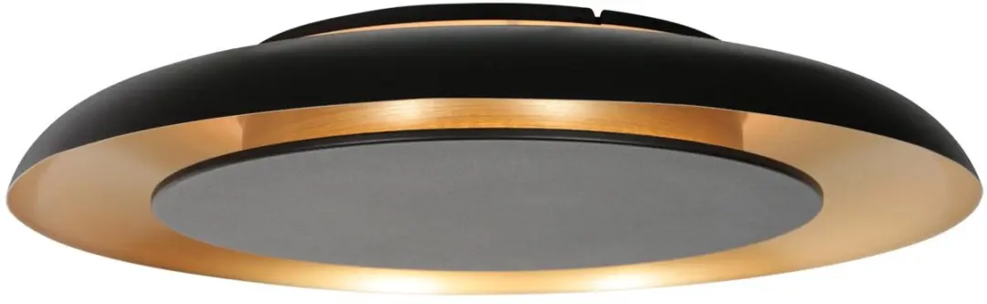 Steinhauer Golden Veil 4732ZW Plafonnière