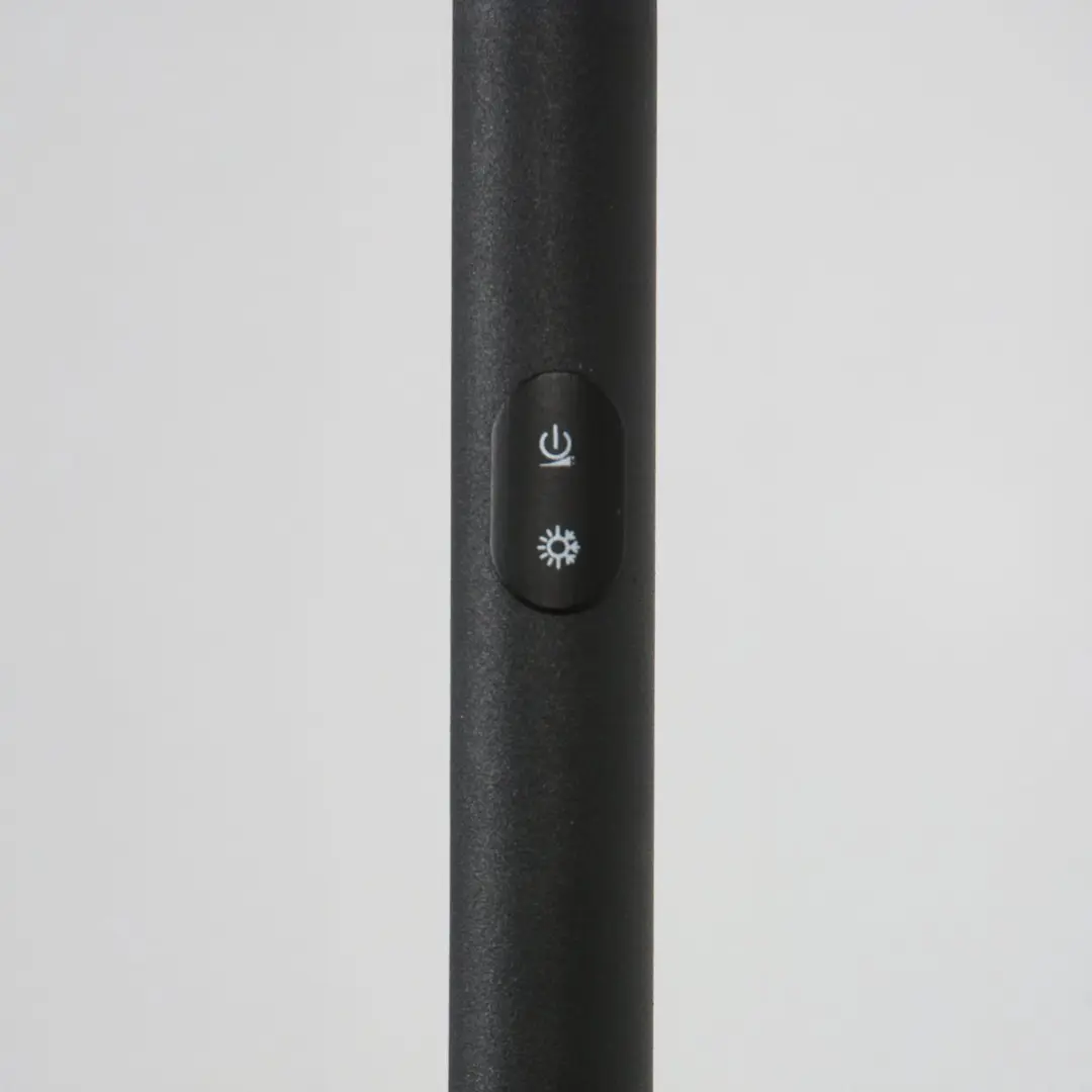 Steinhauer Daphne 2 Vloerlamp - 10W Warm Wit Licht - Zwart